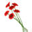 Arrangement-2098594941