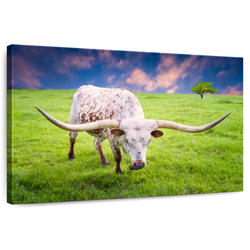 Brampt White Longhorn, 30" H x 45" W