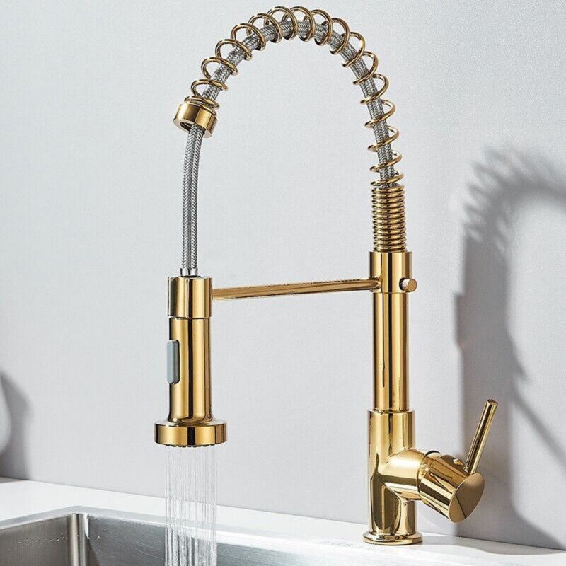 Belfry Kitchen Arradene Pull Down Kitchen Faucet