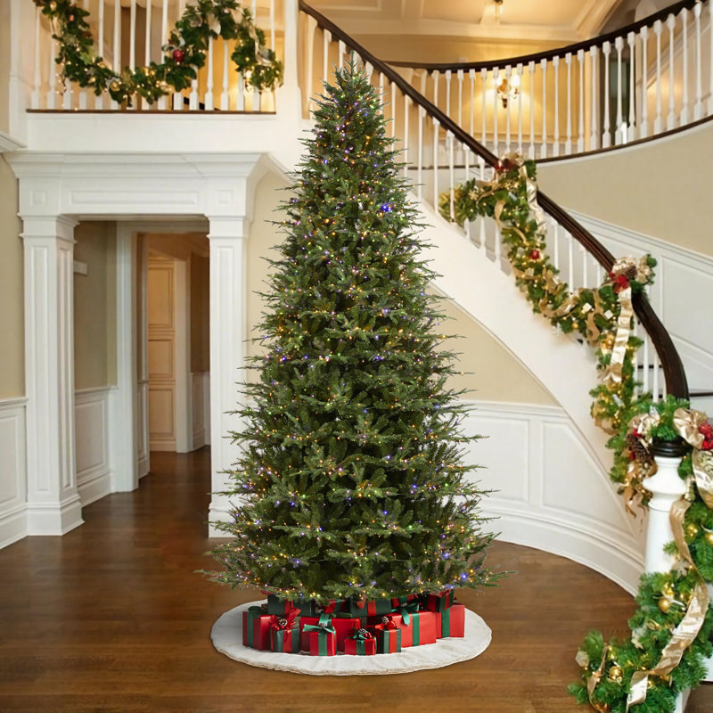 Sapin de Noël Leilonie, H 11 pi
