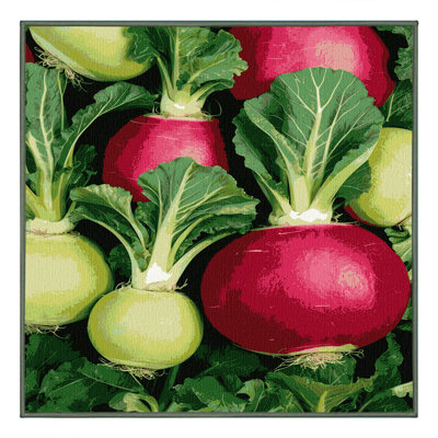 Washable Kohlrabi Vegetables Area Rug