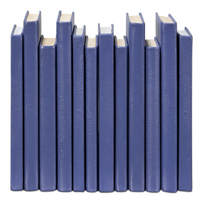 Shagreen Hand Painted Sports Decorative Book