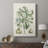 Buchoz Tropicals IX -Custom Wrapped Gallery Cavas-404582256