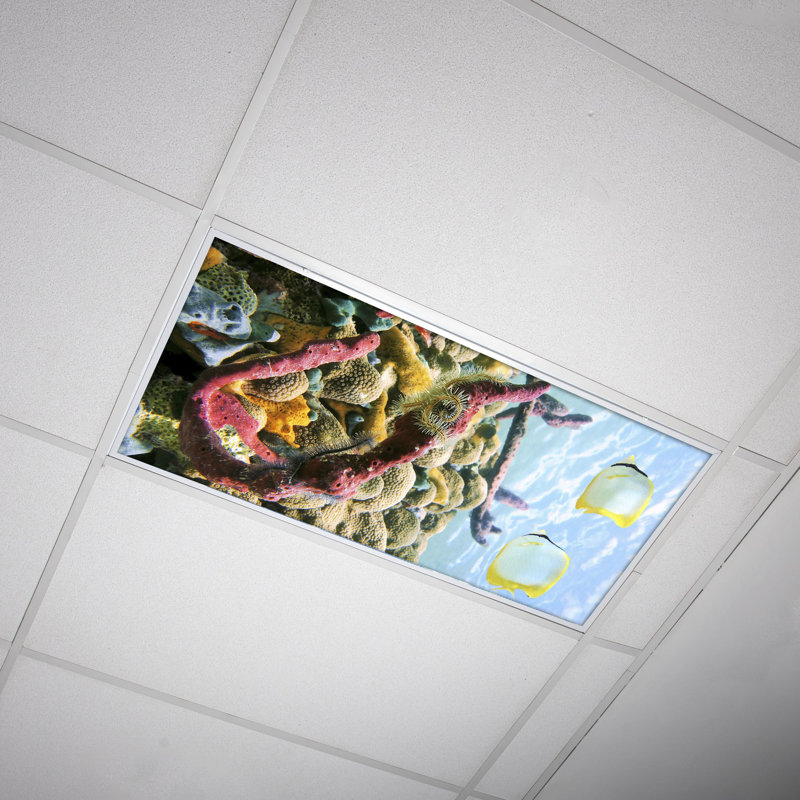 Couvre-lampes fluorescents pour salle de classe Ocean - pour luminaire 2 x 4 - par Octo Lights