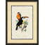 Torean Print