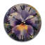 Horloge murale surdimensionnée en bois mauve et jaune Natures Pansies I-1049239422