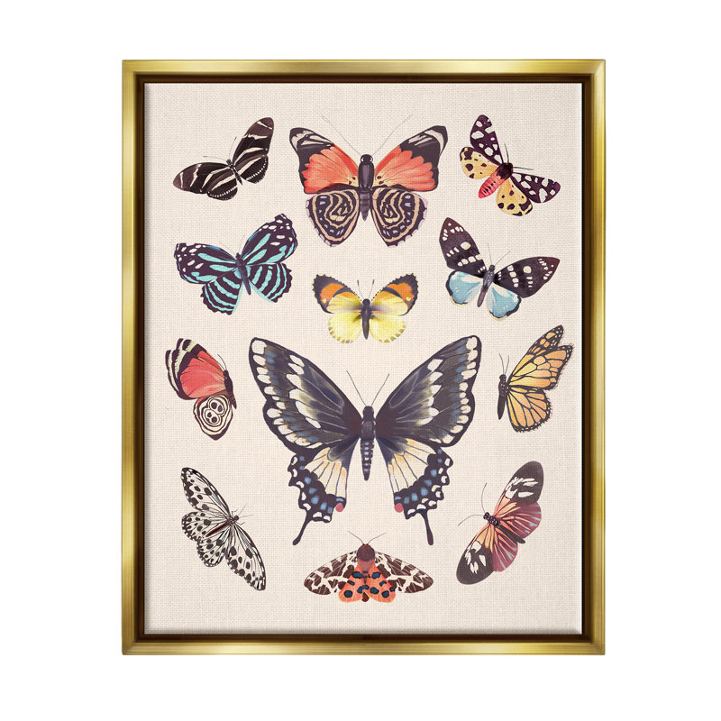 «Cottage Moths and Butterflies On Wood» par Diane Neukirch, impression, H 31 po x l 25 po x P 1,7 po