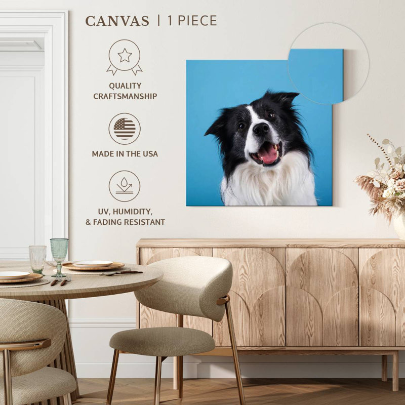 Crowle Happy Border Collie, H 36 po x l 36 po