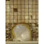 2" x 7.5" Authentic SeaShell Listello/Border Tile Mosaic in Abalone Pearl