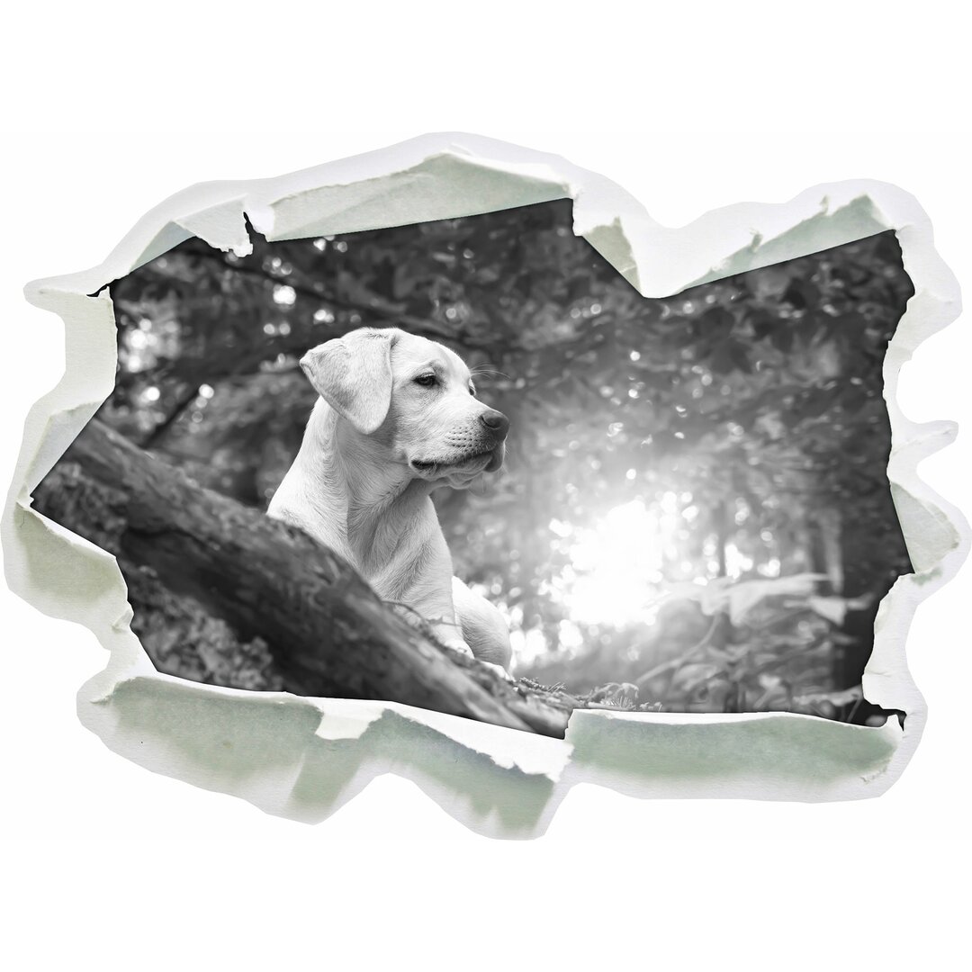 Wandtattoo Labrador-Welpe im Wald