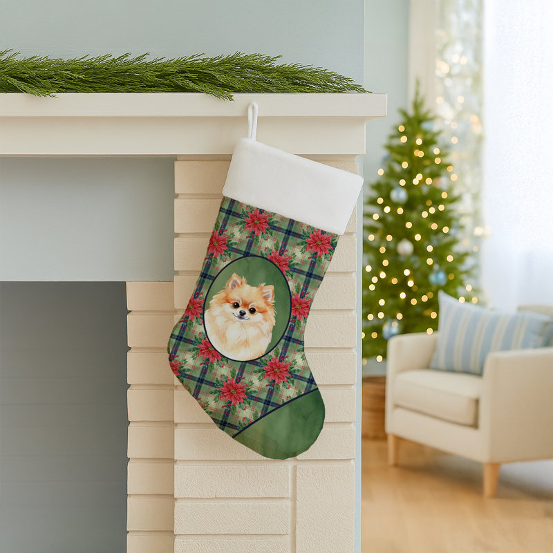 Chaussette de Noël Poméranie PoinsettIas
