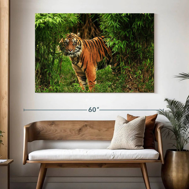 Tigre du Bengale dans la jungle Brampt, H 34 po x l 51 po