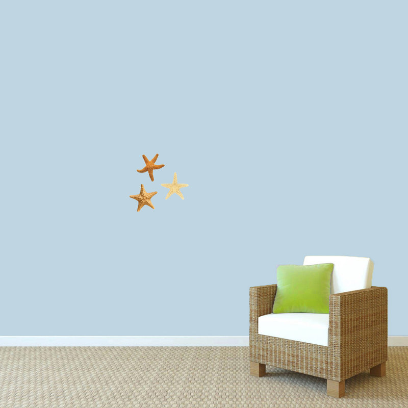 Adhésif décoratif étoile de mer Real Life, H 6 po x l 6 po