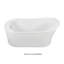 Eryn 60" Freestanding Soaking Bathtub-1673349470
