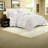 Elegant Microfiber Bedding Set With Romantic Bow Design For Stylish Bedrooms