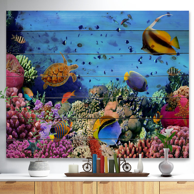 «Coral Colony on Reef Égypte», impression, H 15 po x l 20 po x P 1 po, Bois