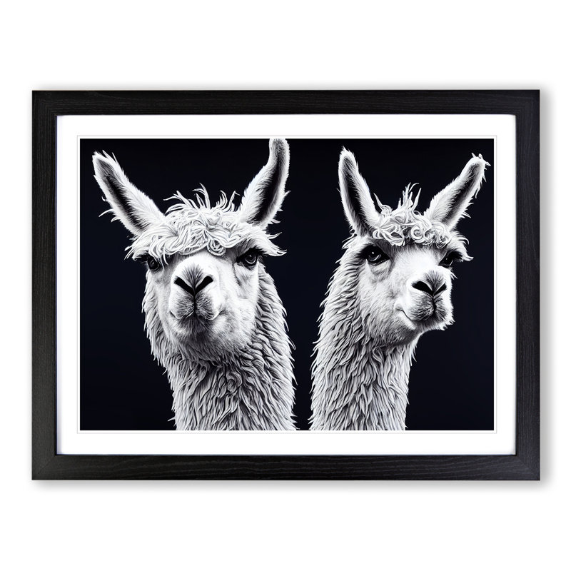 Two Llamas Vol.3 - Single Picture Frame Print, Black, 34cm H x 46cm W x 2cm D