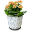 Ensemble de 2 pots à fleurs en céramique avec trou de drainage et soucoupe pour plantes d'intérieur et d'extérieur