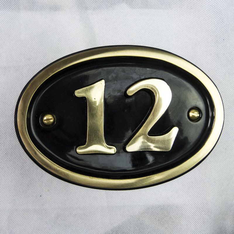 Tyrinia 10cm H Reflective Aluminum House Number, 12