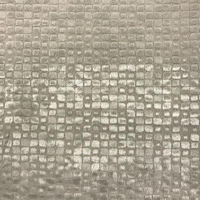 Embossed Velvet | Baxter Fabric_BAXTER