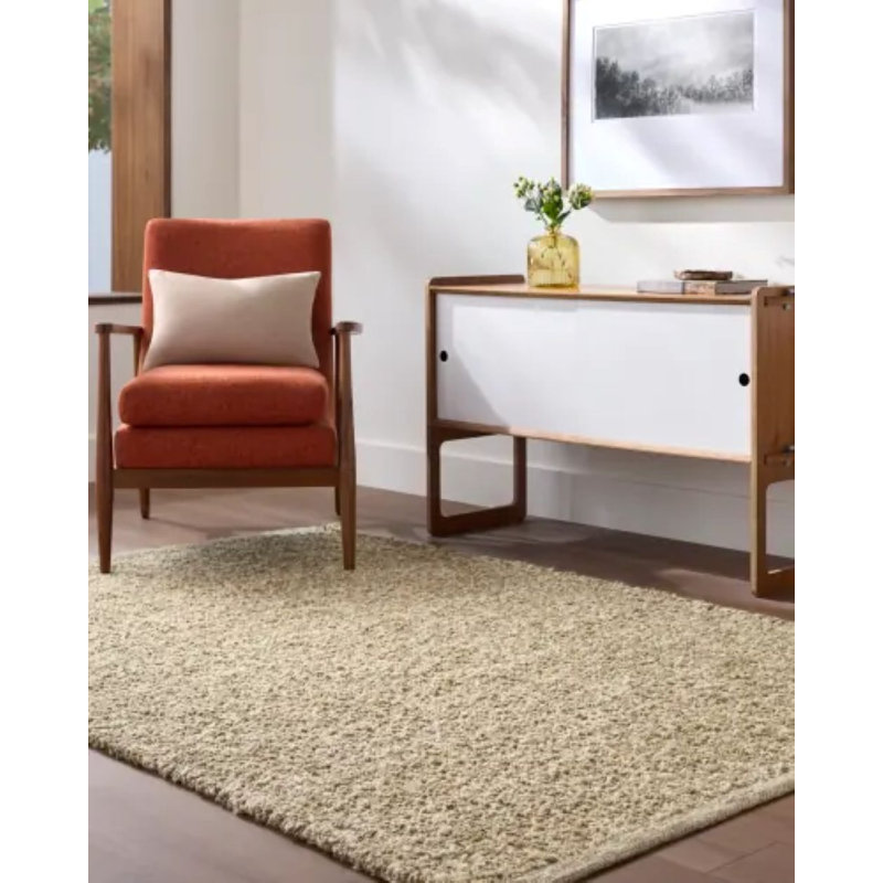 Tapis tissé à la main Sarepta, Rectangle 10 pi x 14 pi