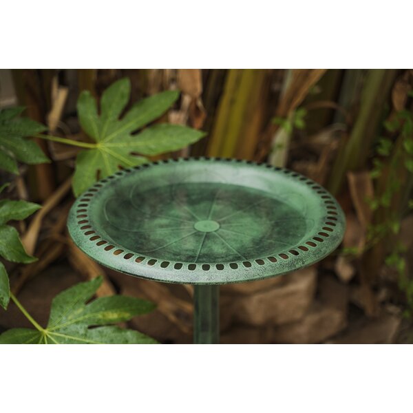 Fleur De Lis Living Ahrens Plastic/Acrylic Birdbath & Reviews | Wayfair