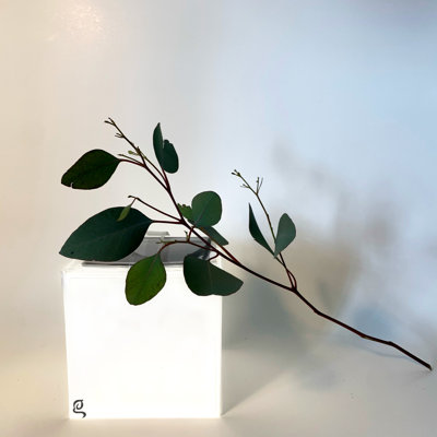 3.5'' Solar Powered Integrated LED Color Changing