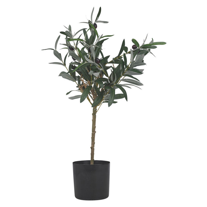 Anssi Pot Planter
