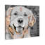 « love golden retriever », impression sur toile tendue-58081560-66813070