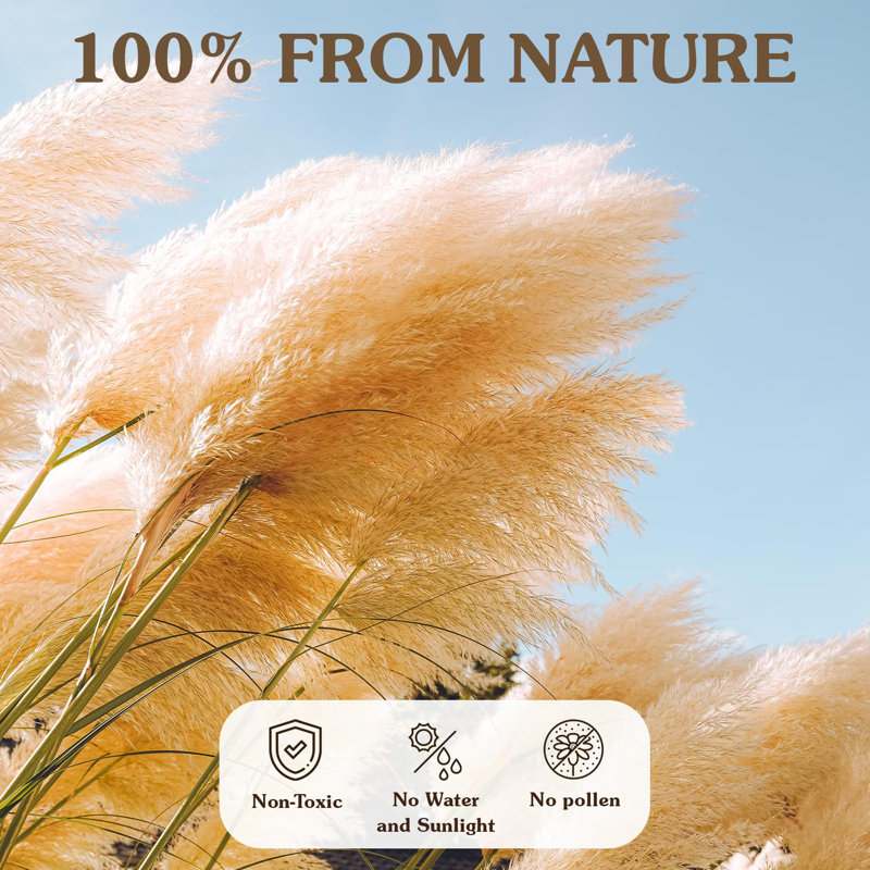 Elegant 40'' Tall Pampas Grass Arrangement for Floor Vases