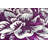 Jabber Floral Indoor Rug-1967392785