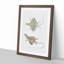 Dragon Lizard by John Edward Gray - Picture Frame Painting Print-55545486-55545483