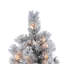 Lighted Artificial Pine Christmas Tree-175806404