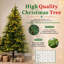 Lighted Christmas Tree-1815824218