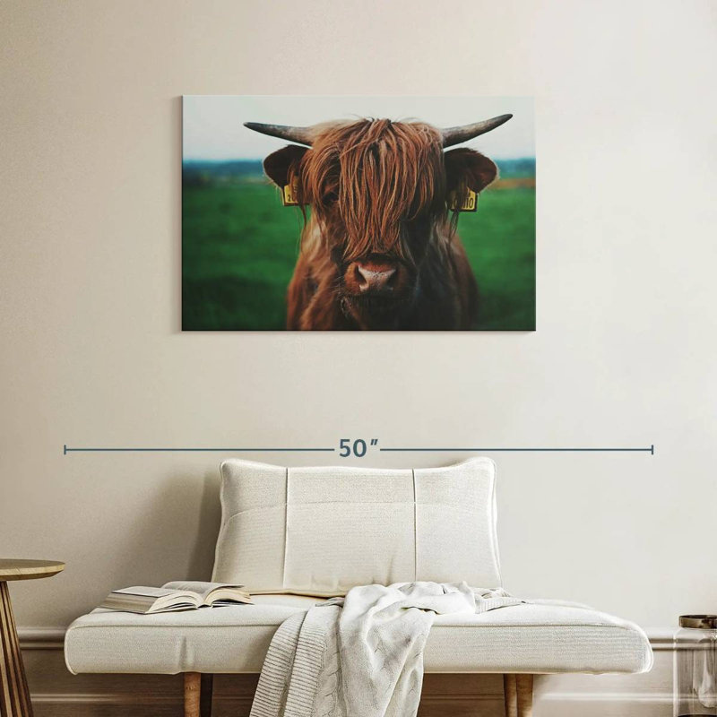 Brampt Highland Cow Close Up, 24" H x 36" W