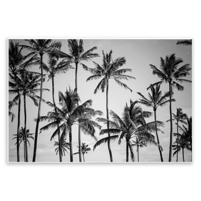 'Palm Trees Skyline Black and White' by Design Fabrikken Photograph Print
