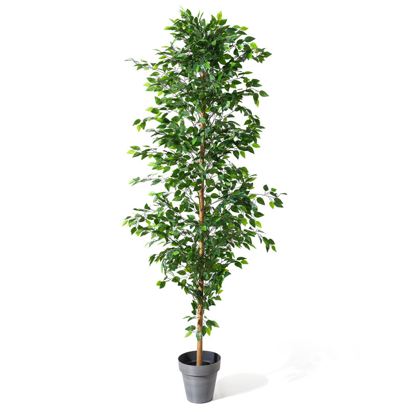 96'' Faux  Ficus Tree KD version