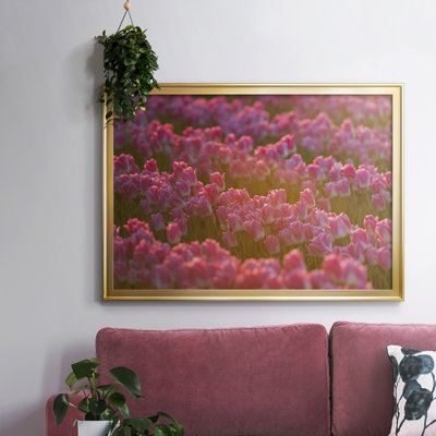 " Field Of Tulips I "