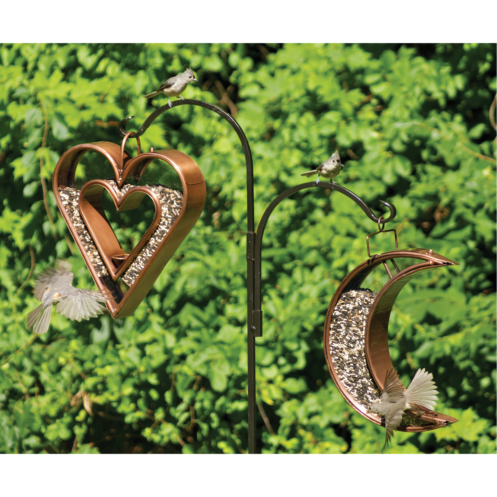 Barnaba Bird Feeder