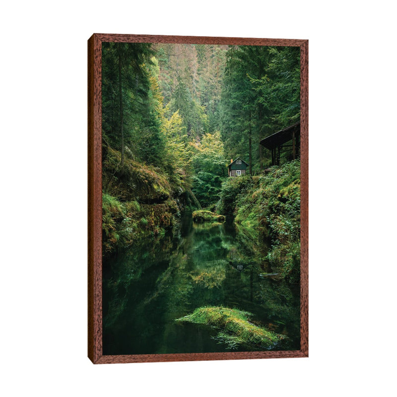 30 Shades Of Green by Fabian Fortmann - Print on Canvas, 101.6 cm H x 66.04 cm W, Classic Brown Wood Framed