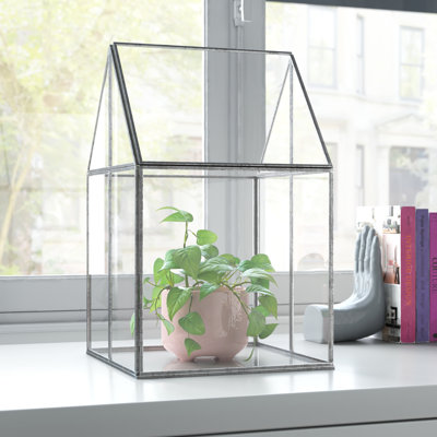 Terrarium en verre Navin