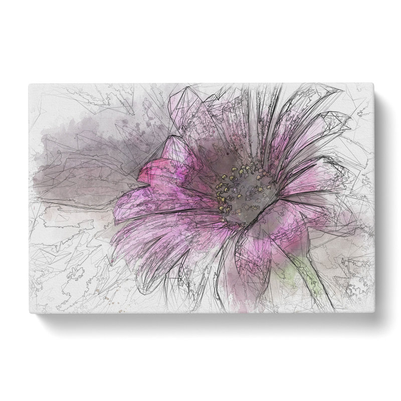 Purple Daisy - Wrapped Canvas Painting, 50cm H x 76cm W x 3cm D