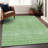 Premium Machine Washable Prisco Aloe Rug-800738921