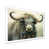 White Single Picture Framed