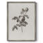 Impression florale vintage encadrée CECXV III - bois massif-1377226708