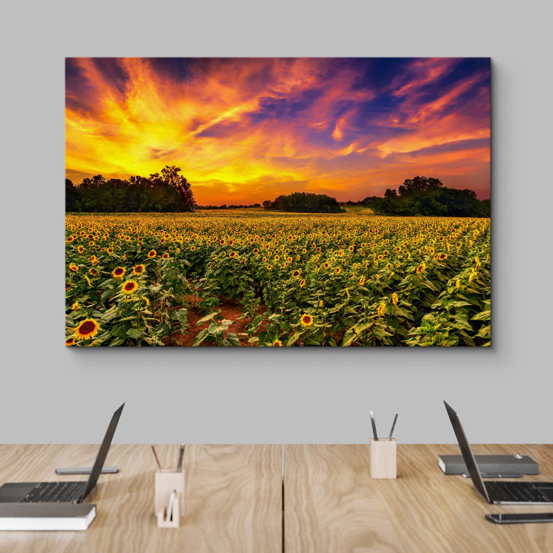 Sunflower " Countryside Sunflower Field Sunset ", 32'' H x 48'' W