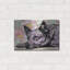 «The Lying Heeler» par Dean Russo-630916830