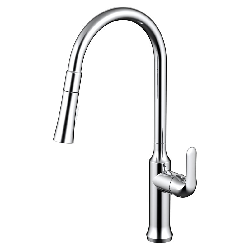 Daweier Pull Out Kitchen Faucet, Chrome