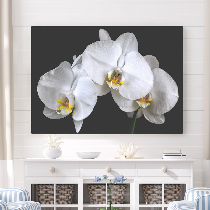 «Kerriana White Orchids Caught in Timeless Shadow on Rich Black», reproduction de photo sur toile tendue
