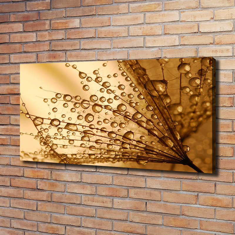 Dandelion Seeds - Wrapped Canvas Print
